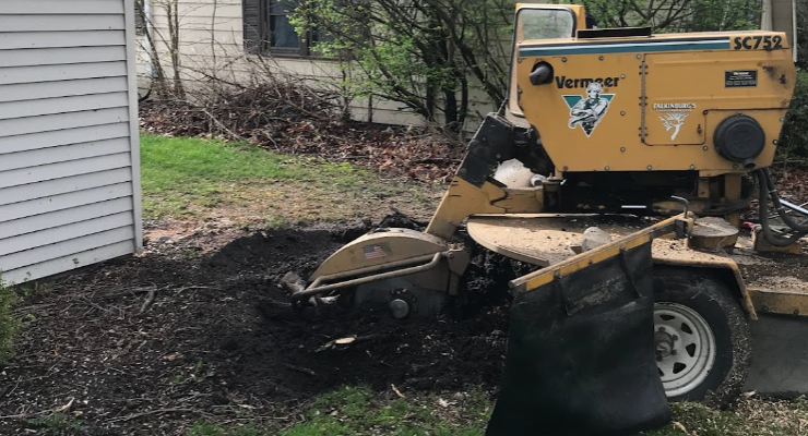 Stump Removal Grinding Fort Wayne IN